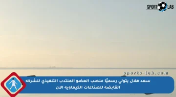 سعد هلال يتولى رسميًا منصب العضو المنتدب التنفيذي للشركة القابضة للصناعات الكيماوية الآن